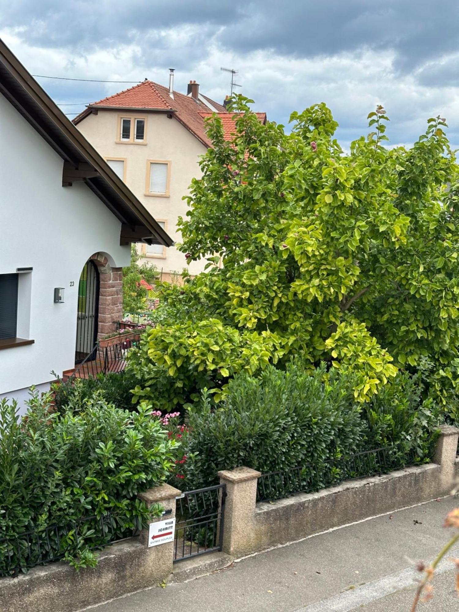 Villa Schmitt Sélestat Exteriér fotografie